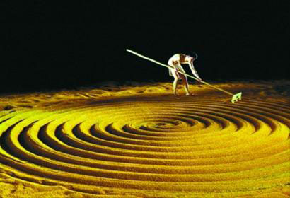 《流浪者之歌》三噸稻米實現的“黃金之舞”