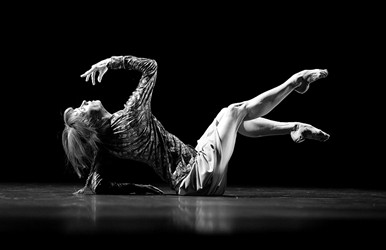 今年6月，希薇-紀蓮在威尼斯雙年展上獲得金獅終身成就獎，現代舞集《六千英里之外》也受邀演出。