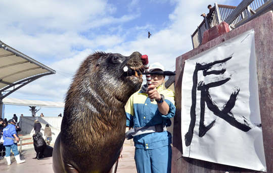 海狮嘴叼毛笔书汉字辰迎龙年