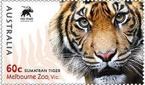 “苏门达腊虎(墨尔本动物园)”邮票