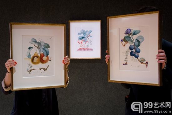 達利14件水果習作水彩畫中的《水果穿孔》（左）、《櫻桃皮埃羅》（Pierrot Cherries，中）、《匆忙的李子》（Hasty plum、右）