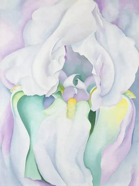 white iris,乔治亚·奥基弗作品,布面油画 1016x762mm 1930
