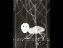 蔡鴻碩作品 怕寂寞的貓2010 45x35cm X光底片燈箱