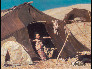 藏族男童 86x66 1989年 布面油画