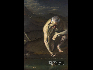 阿德里亞諾斯•索特地裏斯 (雅典) 本能/2008/布面油畫/120釐米×75釐米