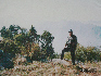 1995年在秦嶺南五台頂峰