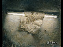 日光燈-布上油畫-80X100CM-1993-fluorescent-light-oil-on-canvas