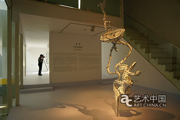 林明弘、高洁双个展于798唐人艺术中心举办