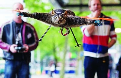 艺术家把宠物猫变成直升飞机