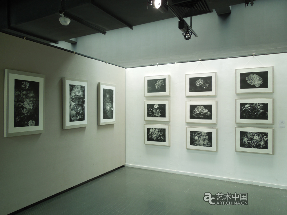 2012天津美術學院本科畢業展,2012,天津美術學院本科畢業展,天津美術學院畢業展,天津美術學院,美院畢業展,畢業展