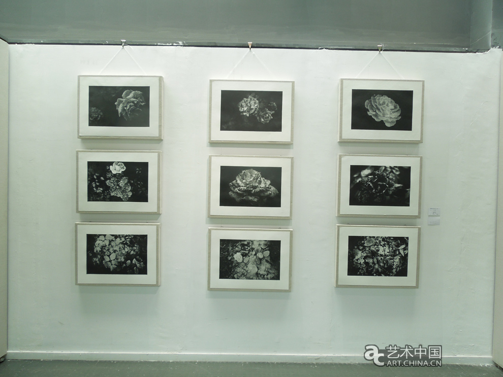 2012天津美術學院本科畢業展,2012,天津美術學院本科畢業展,天津美術學院畢業展,天津美術學院,美院畢業展,畢業展