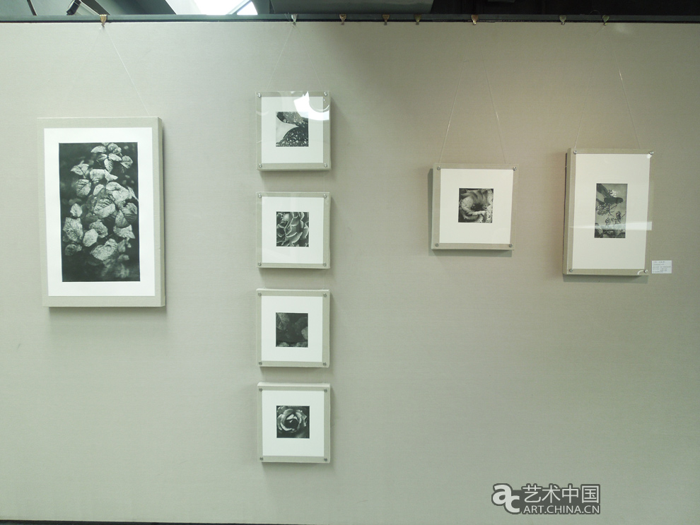 2012天津美術學院本科畢業展,2012,天津美術學院本科畢業展,天津美術學院畢業展,天津美術學院,美院畢業展,畢業展