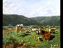 Bonheur罗萨 包赫尔（法，1822-1899） 《牧场的牛羊 1851》