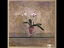 SMALL司徒立 玻璃几上的白蝴蝶兰 100x100cm(50F) 2007 油画