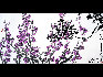 邓林 梅花 （The Plum Blossom） 纸本 (Ink on Paper) 138×68 2007年