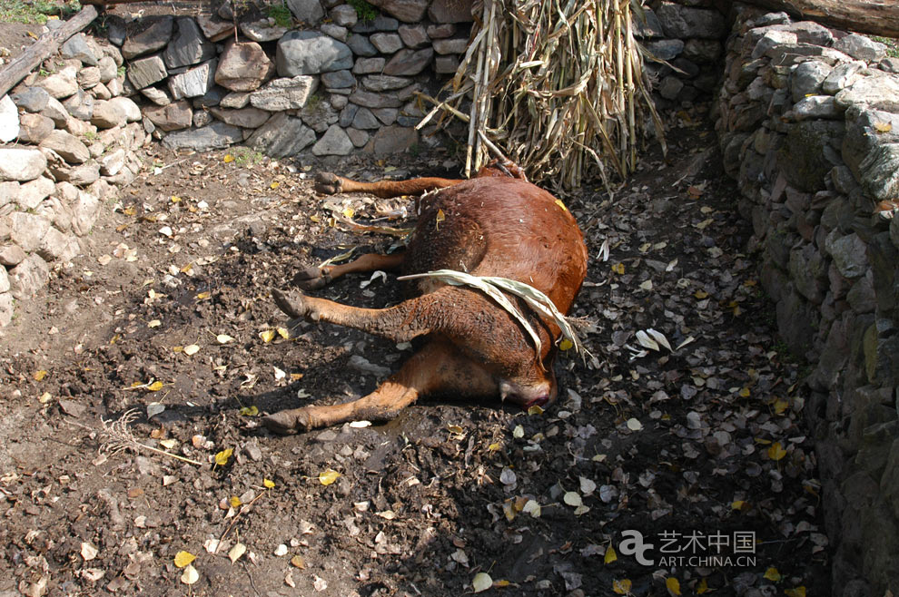 2012连州国际摄影年展,2012连州摄影年展,2012连州摄影节,连州国际摄影年展,连州摄影年展,连州摄影节,2012连州,第八届连州国际摄影年展,第八届连州摄影节