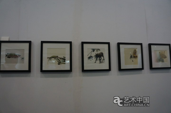 2013天津美術學院畢業展,天津美術學院畢業展,天津美術學院,畢業展,2013天津美院畢業展,天津美院畢業展,美院畢業展