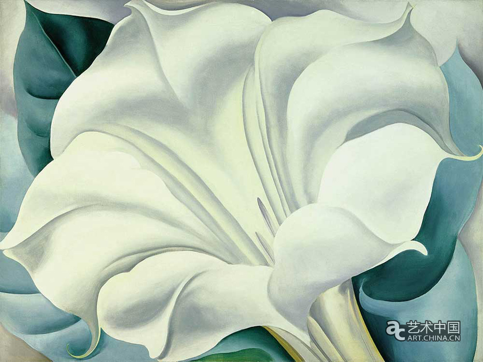 欧姬芙,作品,White Trumpet Flower