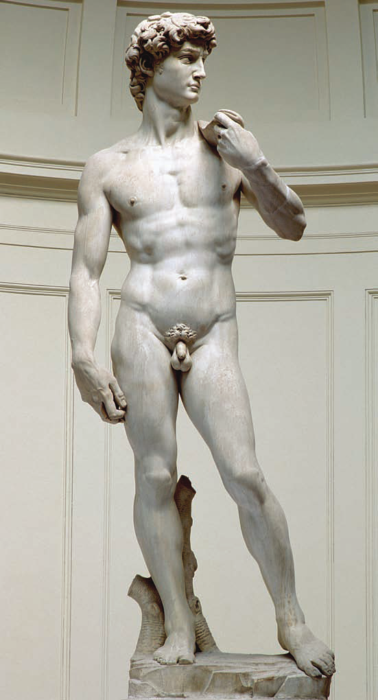 《大卫》米开朗基罗 1501-1504年 佛罗伦萨美术学院