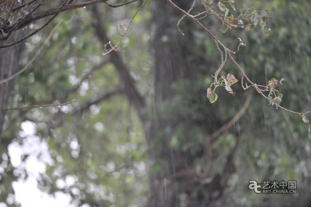 长阳音乐节雨中即景