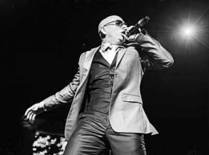 PitBull