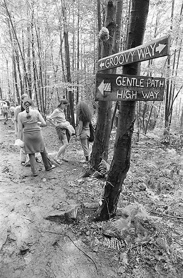 森林中的路牌指向“Groovy Way”。
