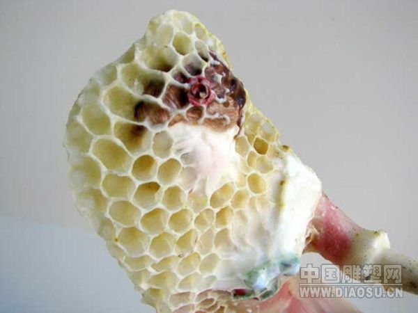 无所不艺术:用蜜蜂来创作蜂巢雕塑