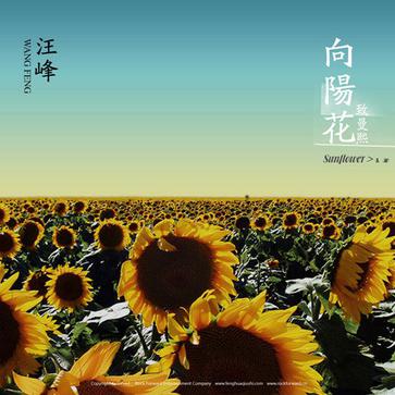 汪峰《向阳花》专辑封面