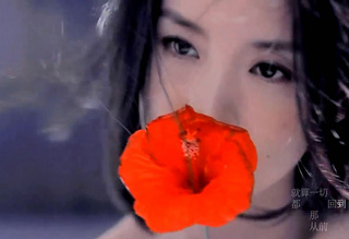  董洁 《 那时的我们 》打造温暖文艺MV _流行_M