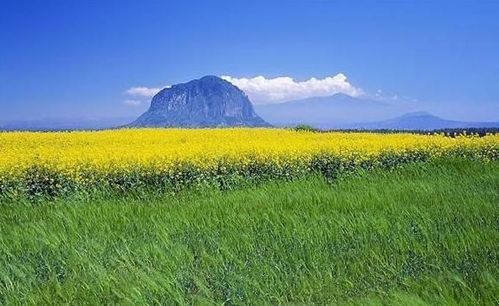 中国去韩国免签吗_中国人在韩国受欢迎_韩国