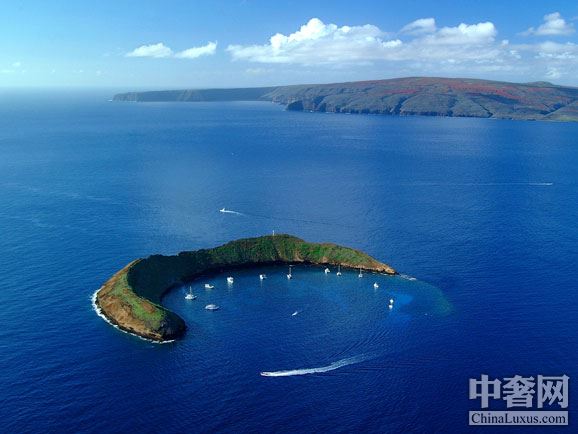 夏威夷最佳潜水地点推荐