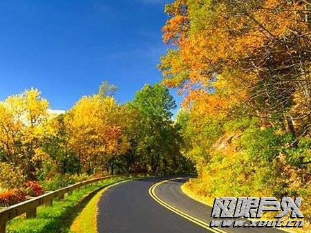 一路向东 美国自驾游终年火爆的精彩路线推荐