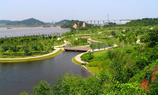 夏日哈尔滨湿地游:体验夏季清凉新感觉