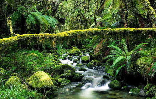 世界上最难拿的签证今年6月免签啦!去巴西,约