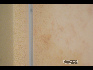 第二张皮三号（局部），海绵、粉，99.5×154×12.8cm，2010年