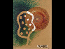 拉斯洛·莫霍伊-納吉《光形式》  1937  42cmx38cm  水彩及拼貼
