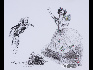 舞蹈家和提琴手 久拉伊.利维斯 2010 彩色钢笔画，纸 330x400mm